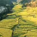 昆明旅游 缩略图 6