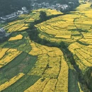 昆明旅游 缩略图 7