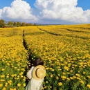 昆明旅游 缩略图 3
