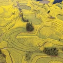 昆明旅游 缩略图 3