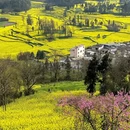 昆明旅游 缩略图 12