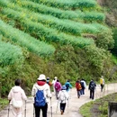 昆明旅游 缩略图 3