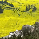 昆明旅游 缩略图 6