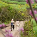 昆明旅游 缩略图 4