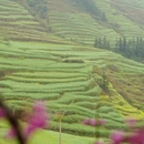 昆明旅游 缩略图 5