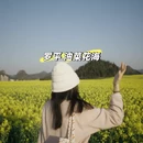 昆明旅游 缩略图 1