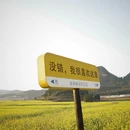 昆明旅游 缩略图 9