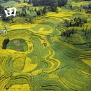昆明旅游 缩略图 3