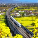 黄山旅游 缩略图 8