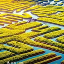 黄山旅游 缩略图 7
