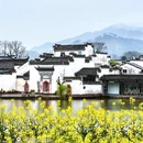黄山旅游 缩略图 9