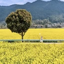 黔南旅游 缩略图 1