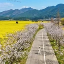 黔南旅游 缩略图 7