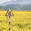 黔南旅游 缩略图 8
