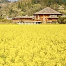 黔南旅游 缩略图 10