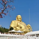 昆明旅游 缩略图 14