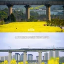 重庆旅游 缩略图 5