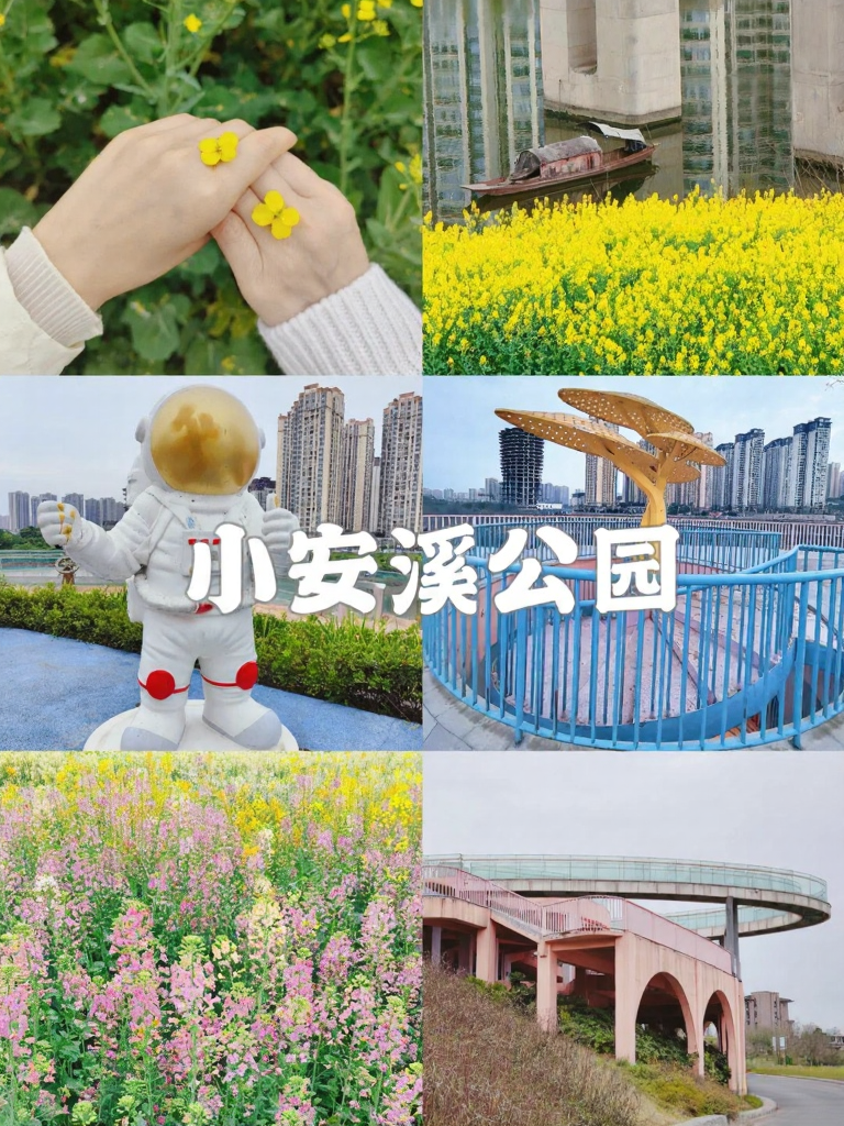 重庆旅游