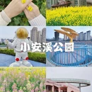 重庆旅游 缩略图 1