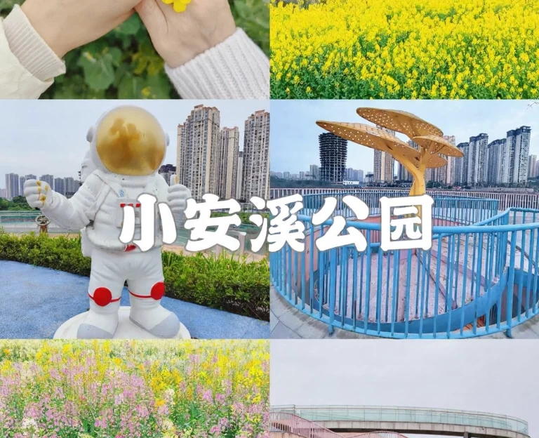 重庆旅游 1