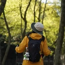 重庆旅游 缩略图 7