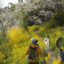 重庆旅游 缩略图 9