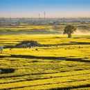 扬州旅游 缩略图 6