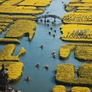 扬州旅游 缩略图 2