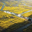 扬州旅游 缩略图 3