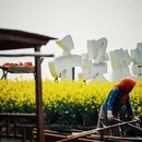 扬州旅游 缩略图 18
