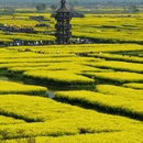 扬州旅游 缩略图 16