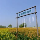 泰州旅游 缩略图 5