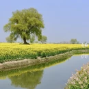 泰州旅游 缩略图 4