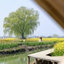 泰州旅游 缩略图 7