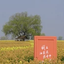 泰州旅游 缩略图 9