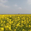 无锡旅游 缩略图 1