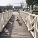无锡旅游 缩略图 3