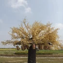 无锡旅游 缩略图 10