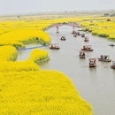 泰州旅游 缩略图 1