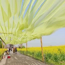 泰州旅游 缩略图 6