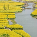 泰州旅游 缩略图 5
