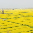 泰州旅游 缩略图 2