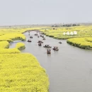 泰州旅游 缩略图 3