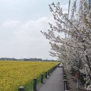 无锡旅游 缩略图 7