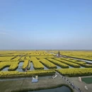 泰州旅游 缩略图 1