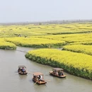泰州旅游 缩略图 15