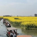 泰州旅游 缩略图 6