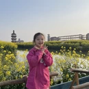 泰州旅游 缩略图 10