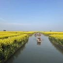 泰州旅游 缩略图 5