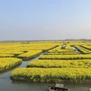 泰州旅游 缩略图 4